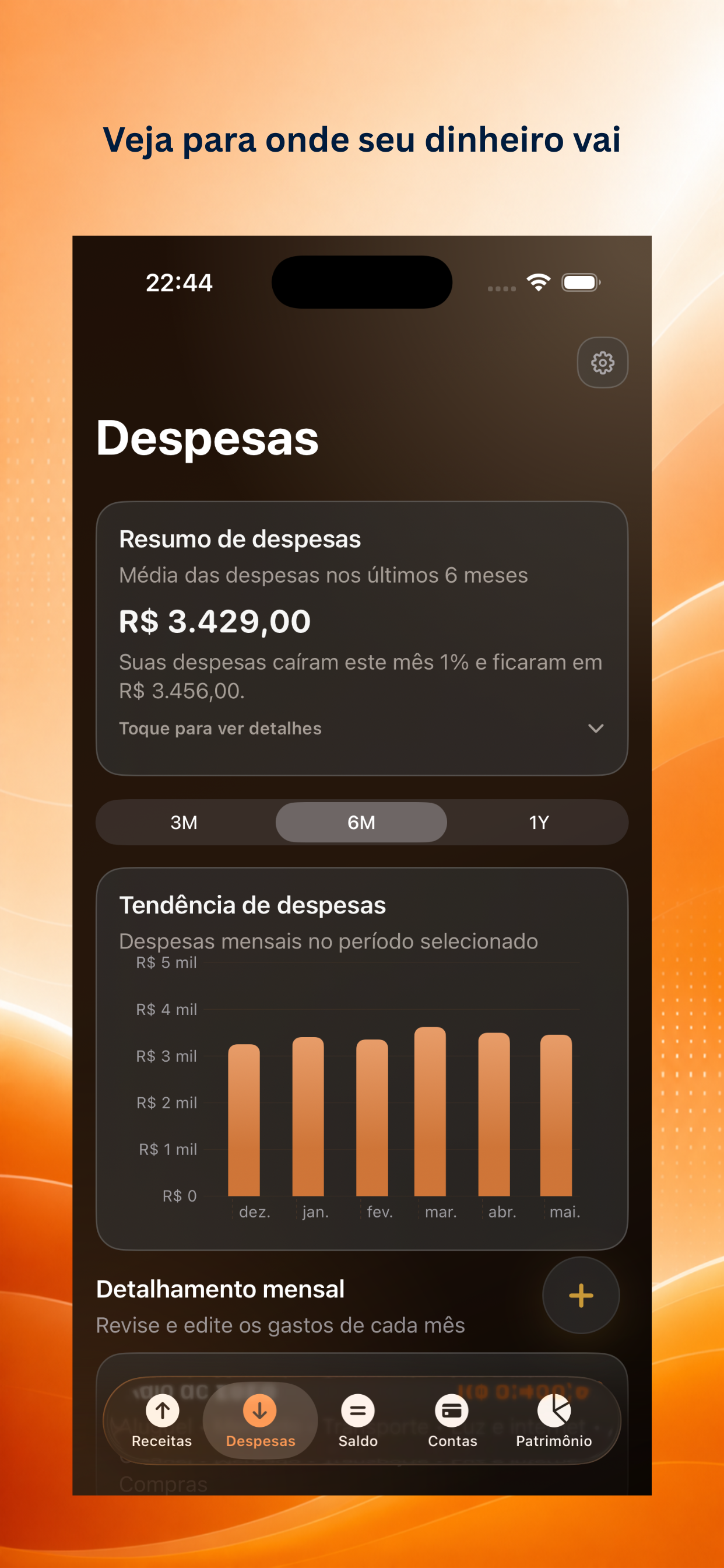 Tela de Despesas do Ascentist Finance em português